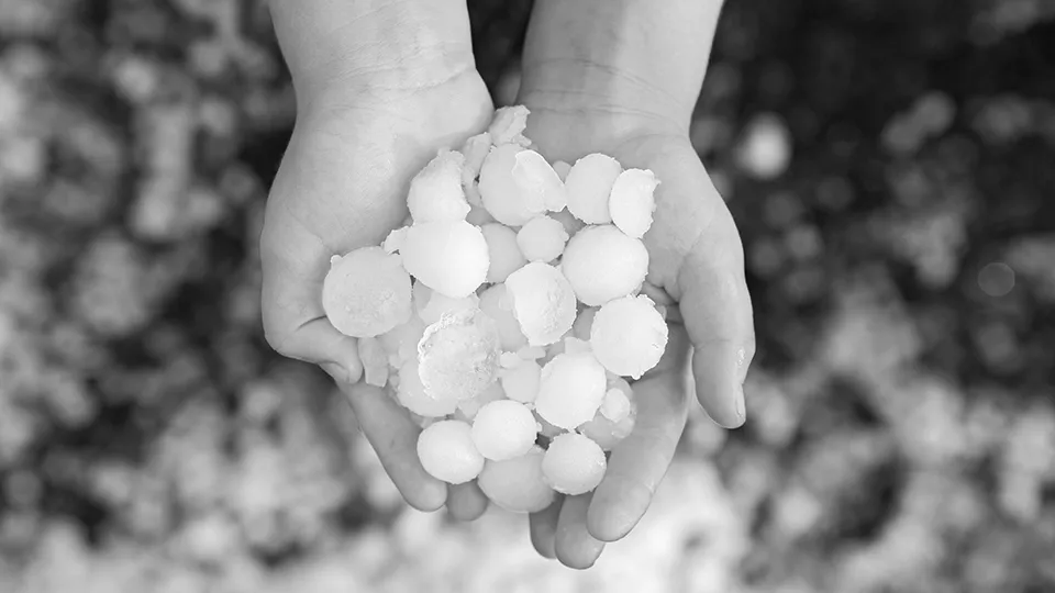 Aktuelles - Hagel