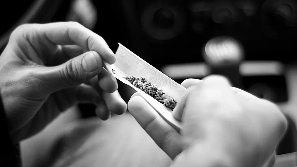 Aktuelles - Cannabis am Steuer