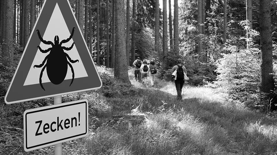 Aktuelles - Zecken