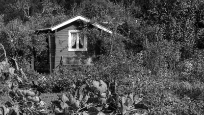 Aktuelles - Schrebergarten