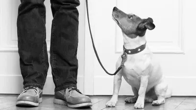 Aktuelles - Hundehaftpflicht